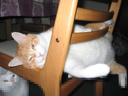 “青少年足球产业链不断完善,行业潜力巨大”,青少年足球发展趋势