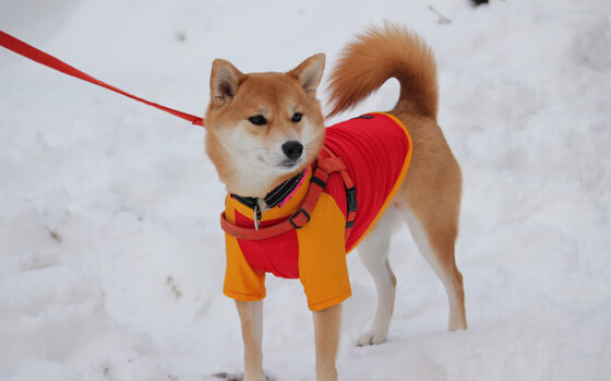 未来十年电竞行业发展蓝图：技术、内容、生态三大主线，未来20年电竞发展趋势
