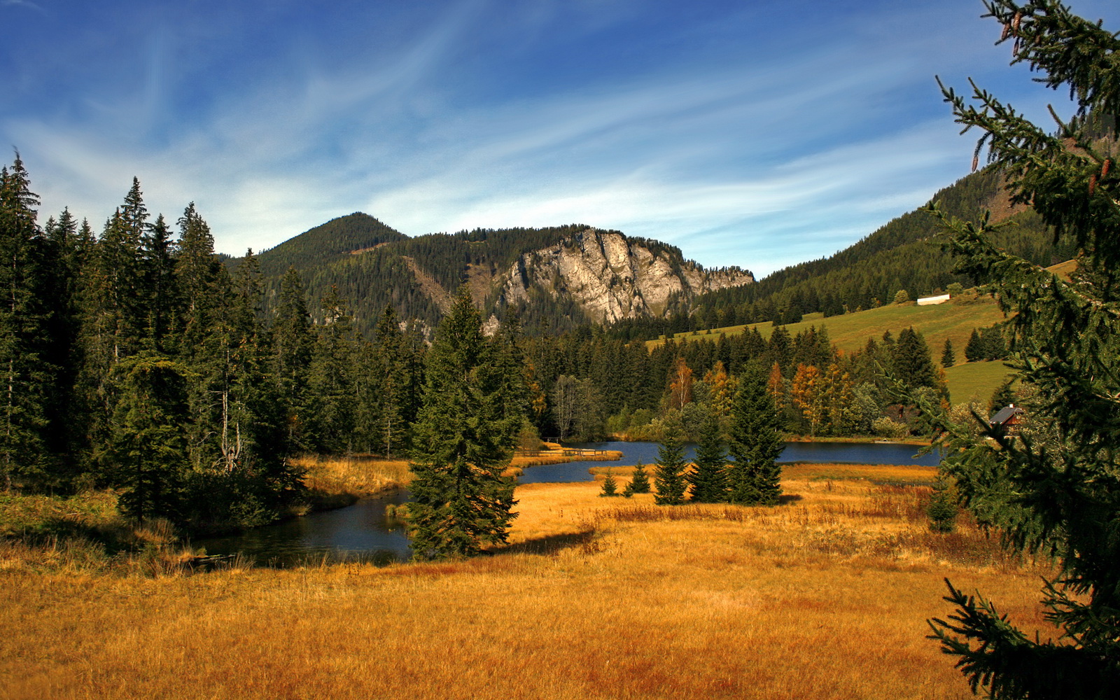 未来十年：联盟战略规划带来的变革，联盟的未来是属于你的