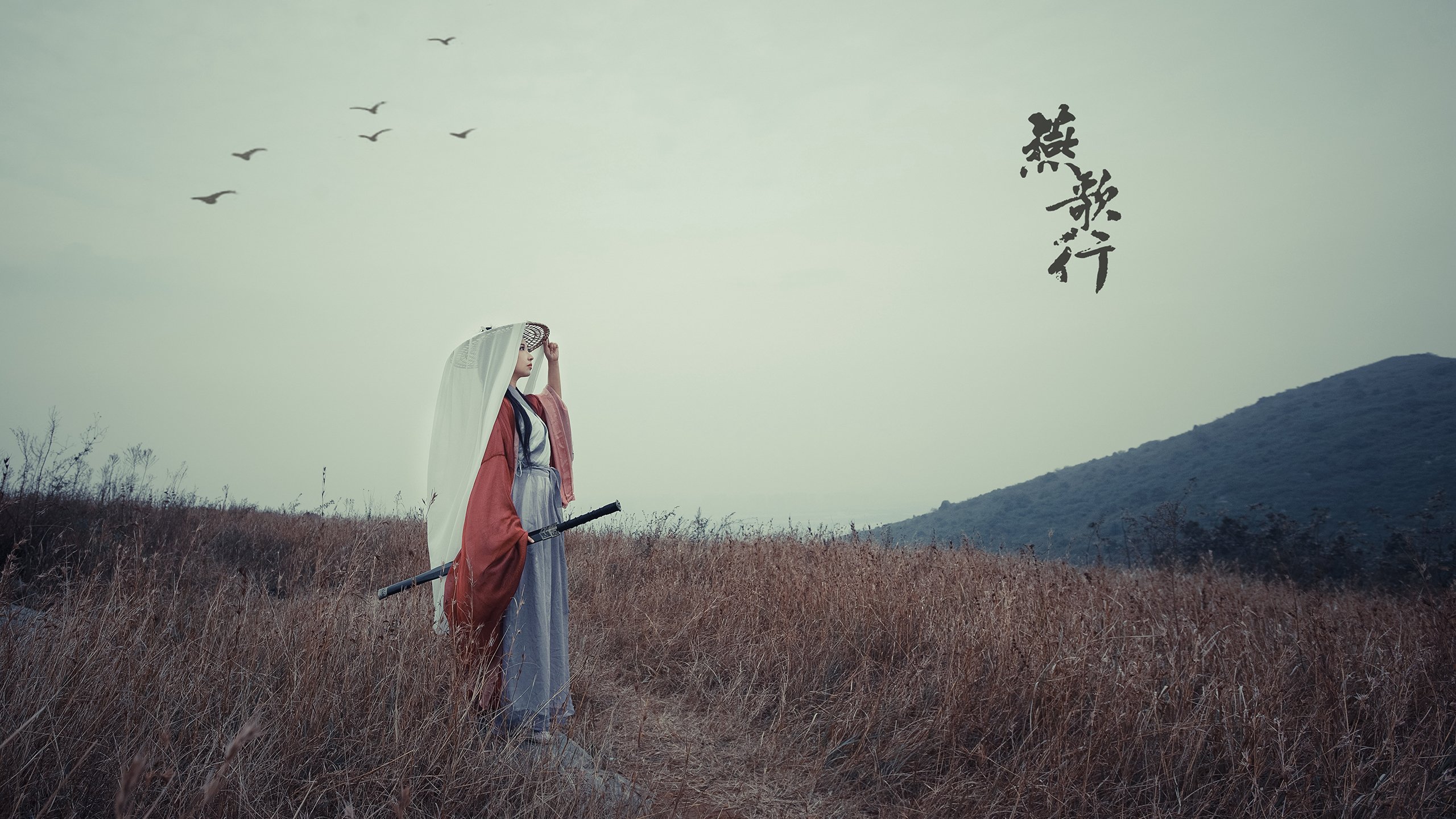 球迷比赛日疯狂助威,现场氛围火爆,球迷助威视频