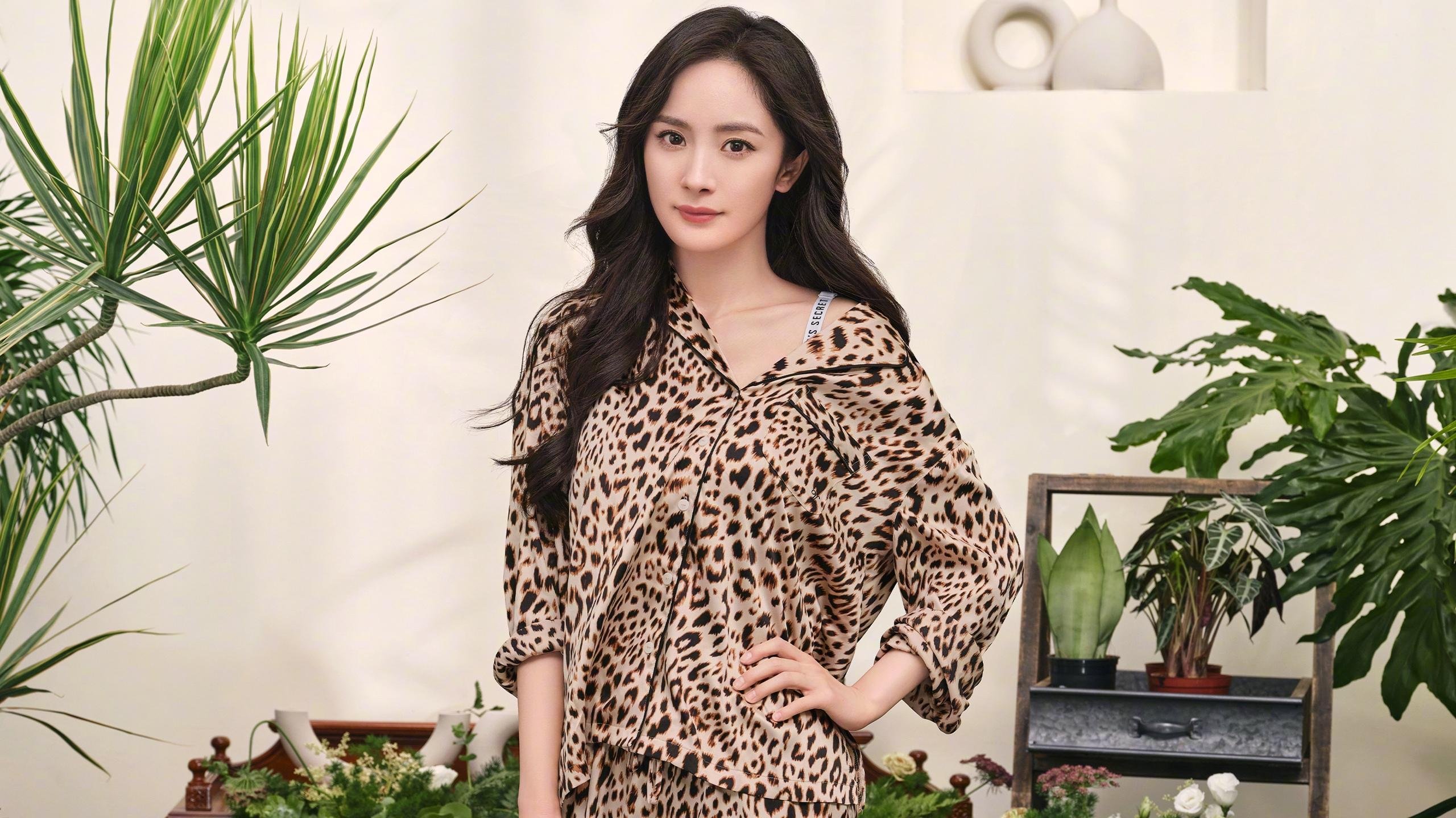 篮球赛事安全管理体系日趋完善,篮球赛事安全应急预案