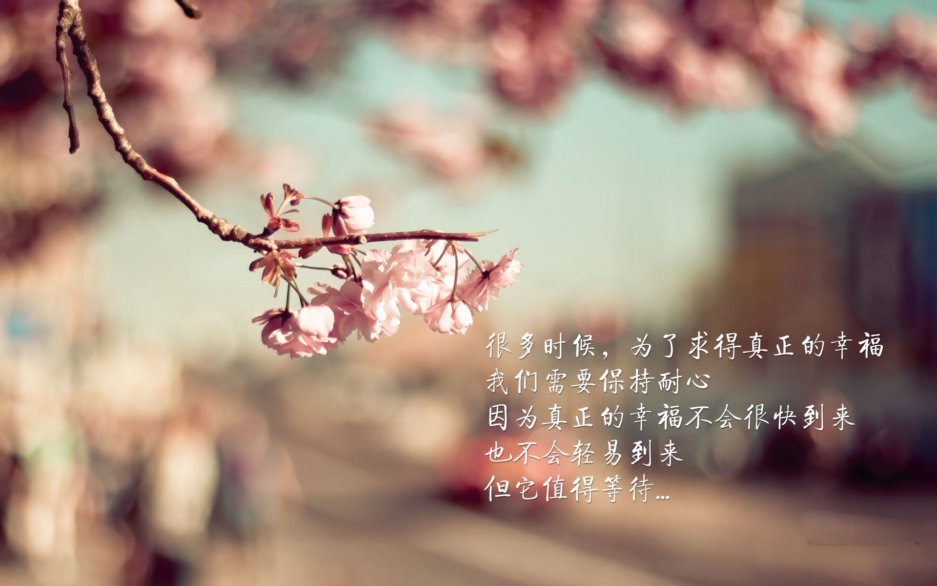 赛场上的“智慧机器人”:未来科技带来的变革,智能机器人赛道