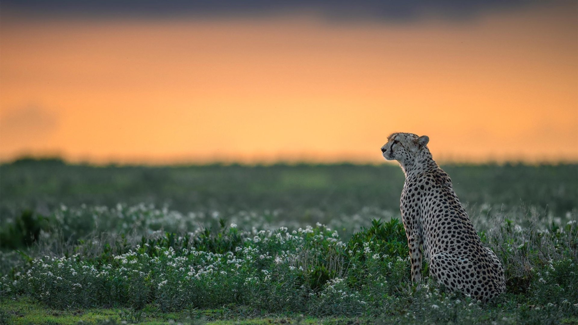 逆境中崛起的“战士”：那些在低迷后焕发新活力的球员眼前一亮