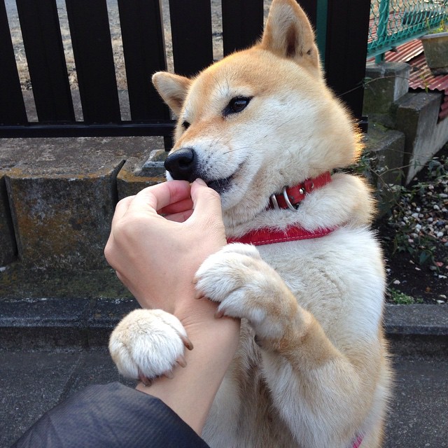 CBA球队青年球员培养，cba球队青年球员培养计划表