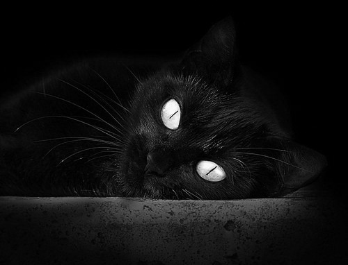 中国足球青训体系建设成果显著，中国足球青训体制