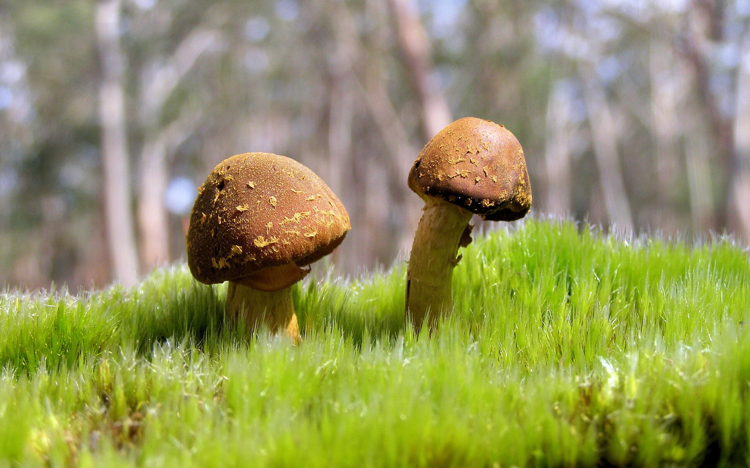 摩洛哥队在巴黎奥运会男足比赛中多次利用边路进攻,摩洛哥著名足球运动员