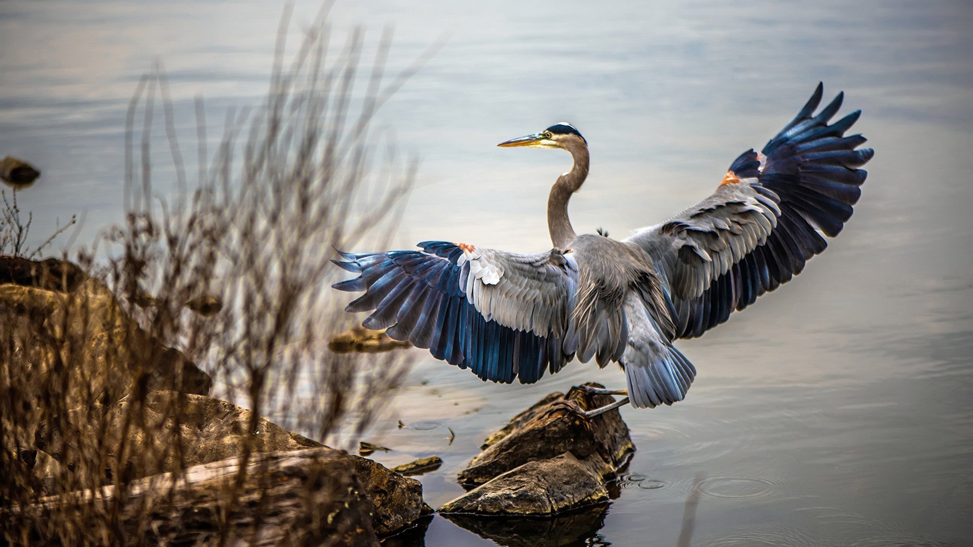 摩洛哥队在巴黎奥运会男足比赛中多次利用边路进攻,摩洛哥著名足球运动员