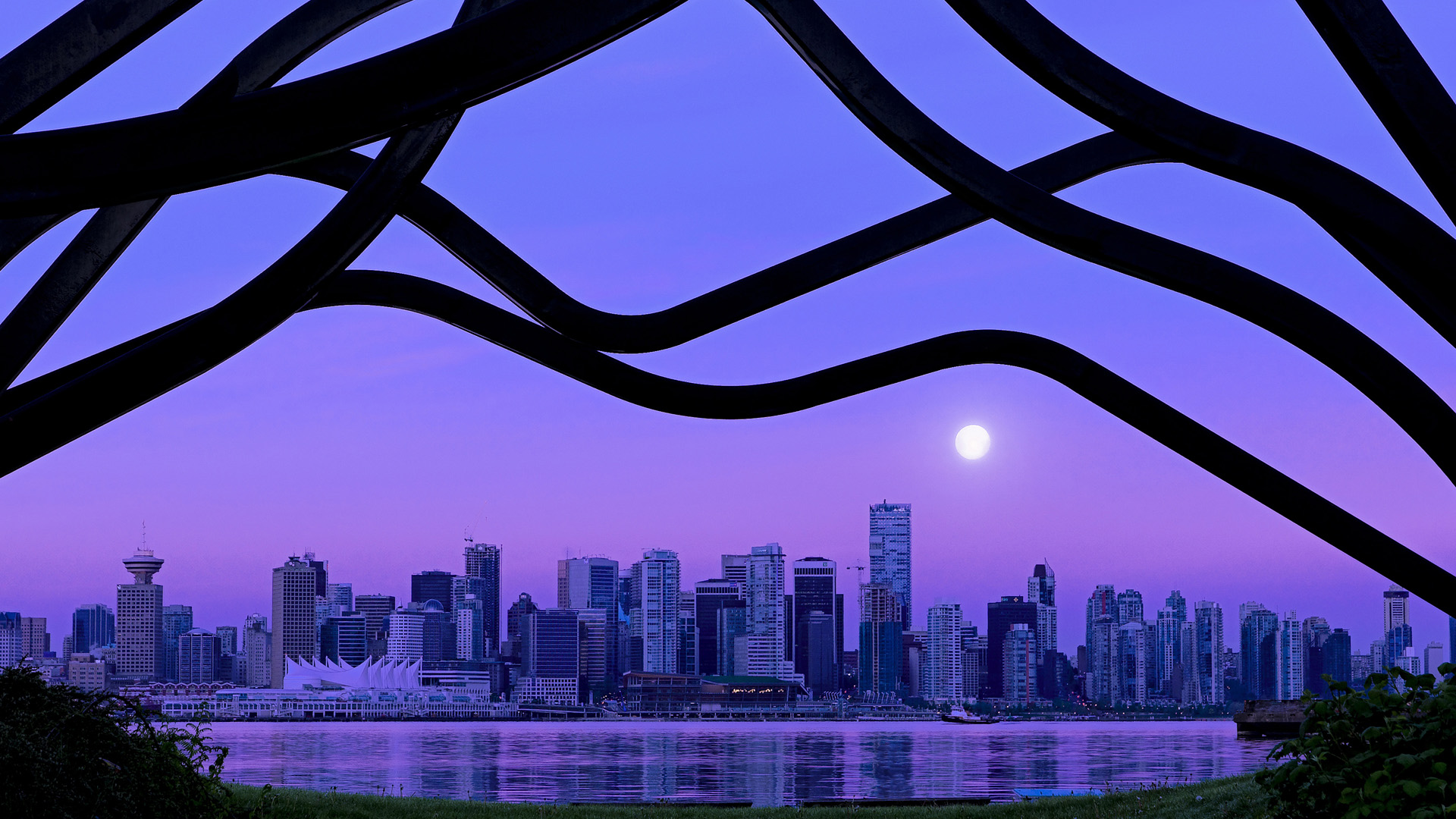 比赛中发生激烈冲突，主教练被罚出场，教练员大闹赛场