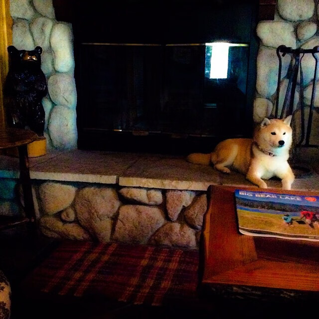 比赛中发生激烈冲突，主教练被罚出场，教练员大闹赛场