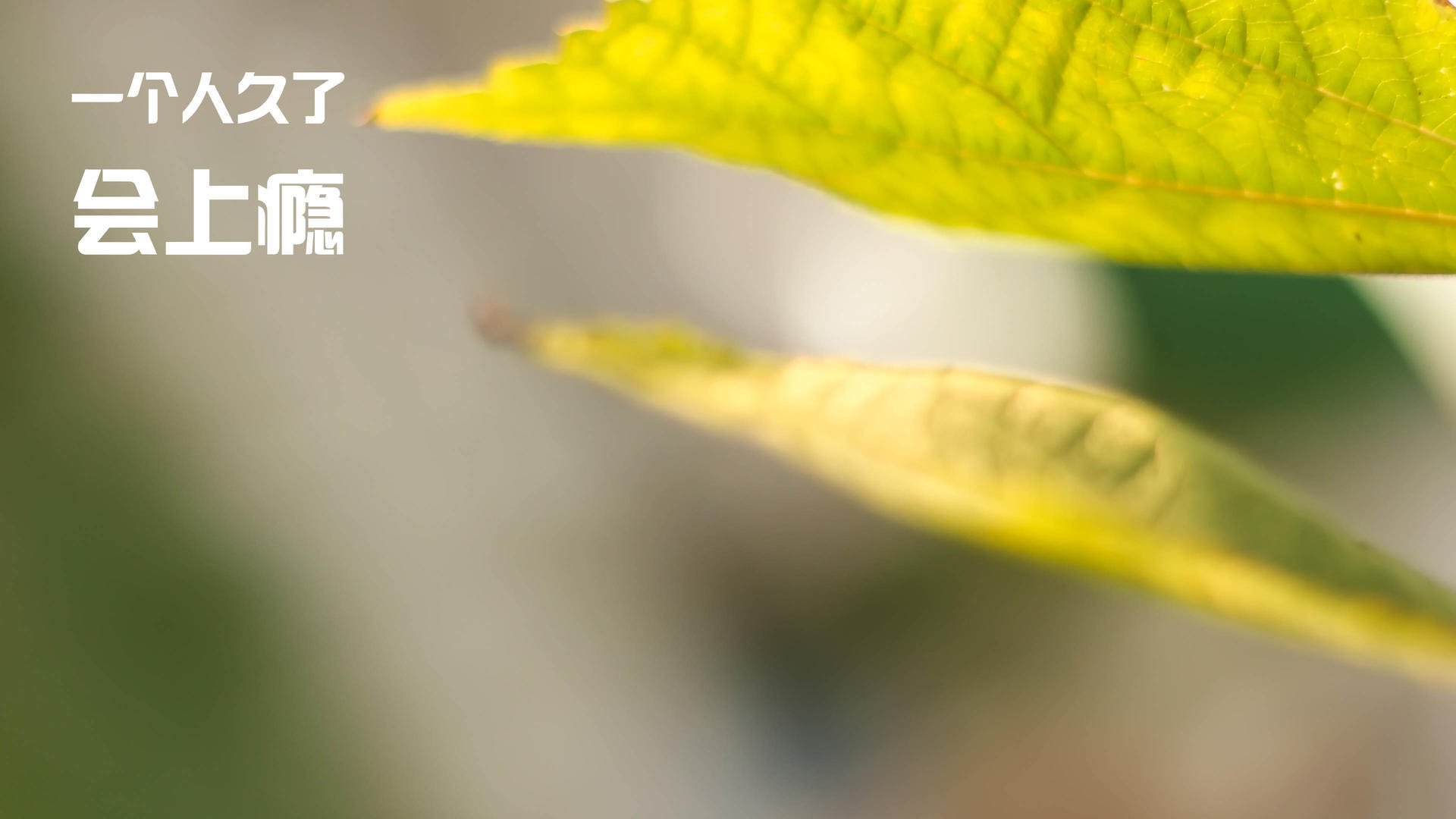 体育赛事多元化品牌建设,体育赛事品牌打造