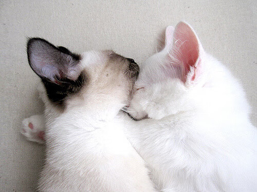 装备数据分析应用，装备试验数据