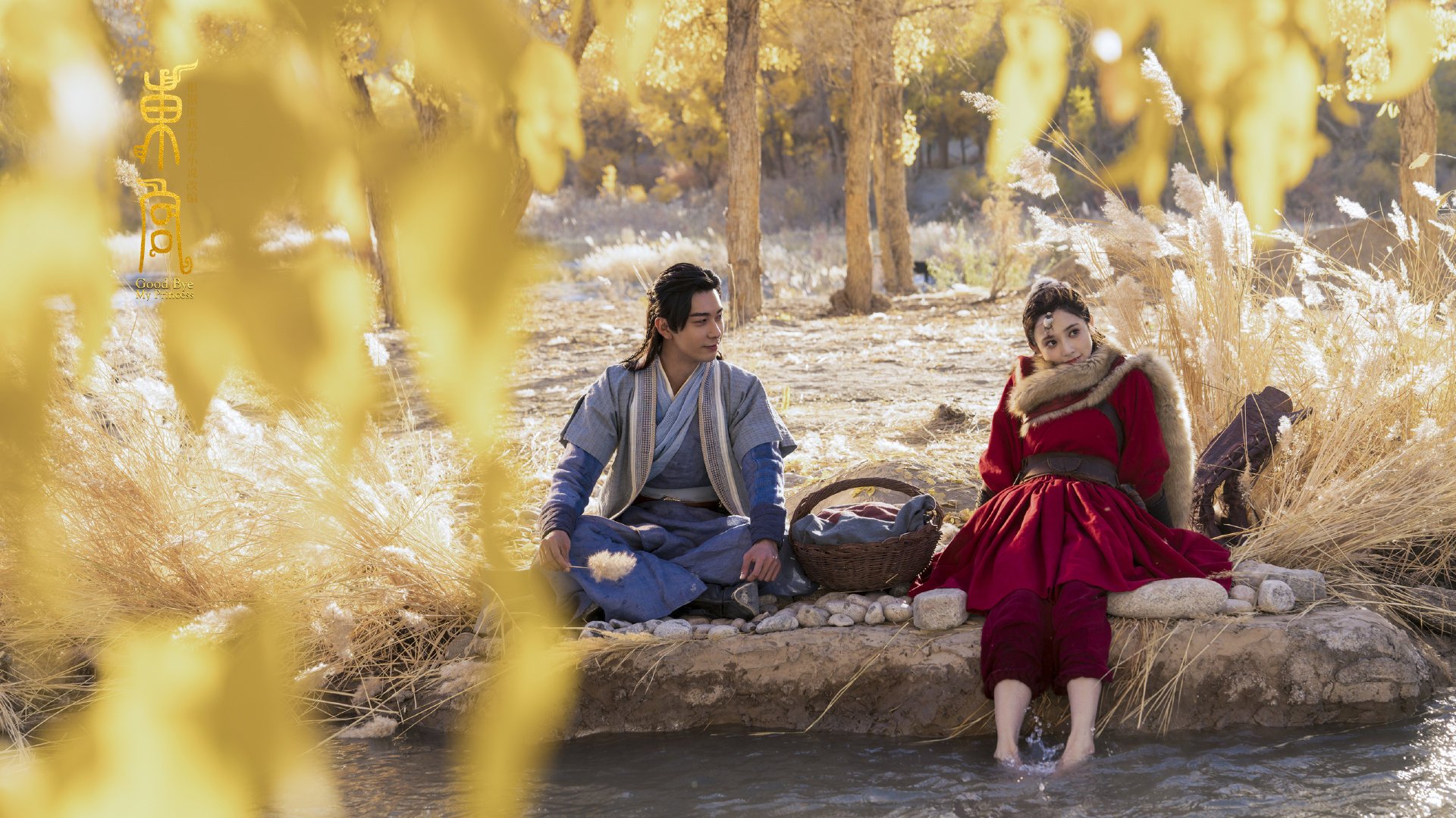 中国香港队赛制透视：如何通过赛制调整有效提升战术表现，香港的比赛