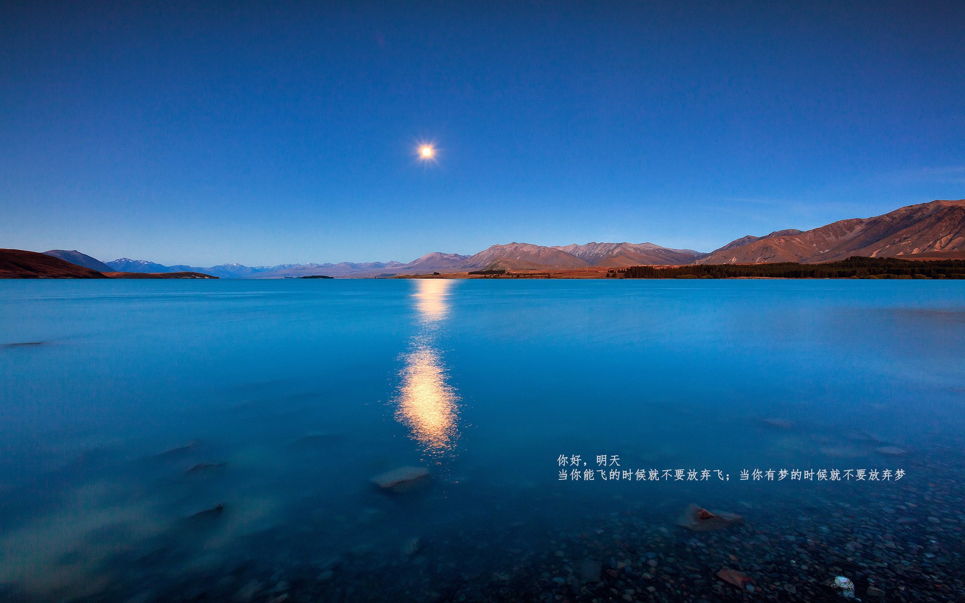 南非羚羊队的快速反击:每一次抢断和反击都如闪电般迅猛,北非大羚羊