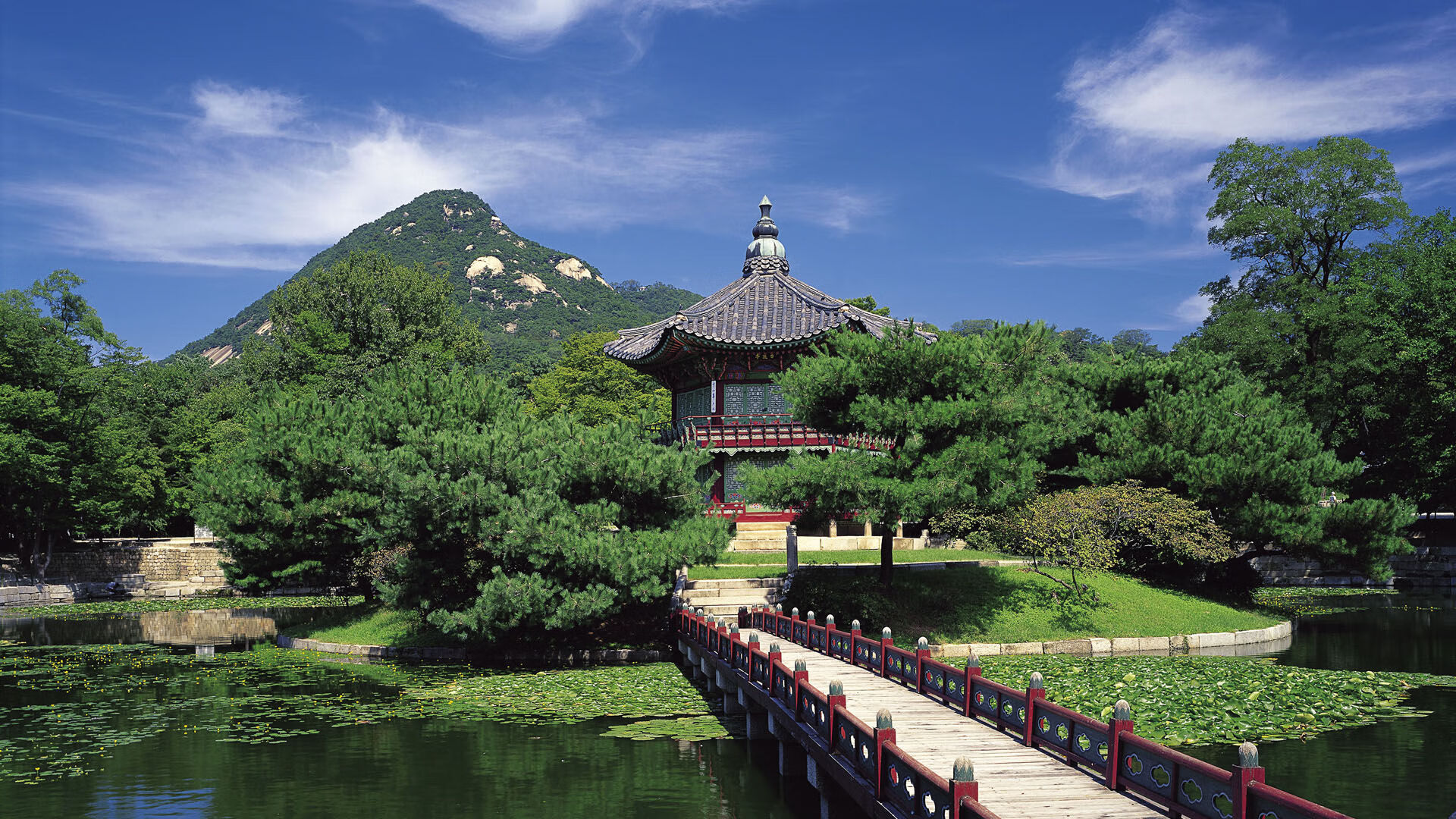 朱婷入选年度全球最佳阵容，朱婷全球十佳运动员